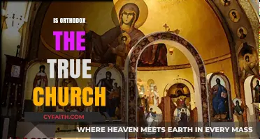 Is the Orthodox Church the True Church? Exploring Historical and Theological Claims