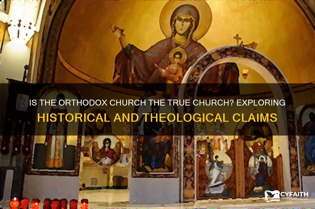 is orthodox the true church