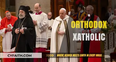 Exploring the Differences: Is Orthodox Catholic a Misnomer or Reality?