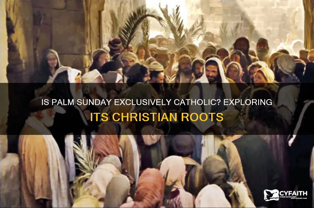 is palm sunday catholic
