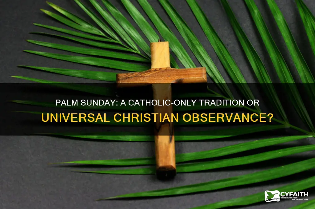 is palm sunday only catholic