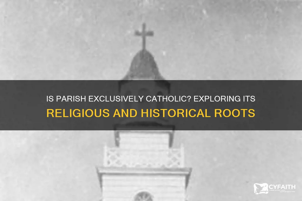 is parish a catholic term