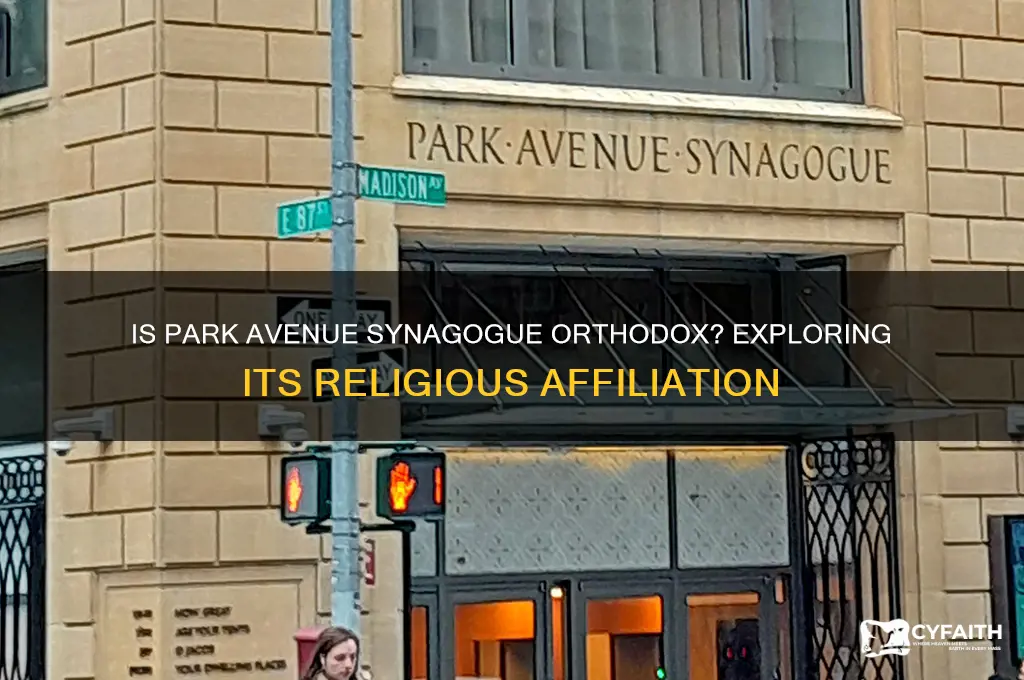 is park avenue synagogue orthodox