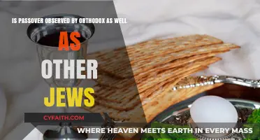 Passover Observance: A Shared Tradition Among Orthodox and Other Jews?