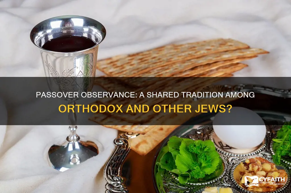 is passover observed by orthodox as well as other jews