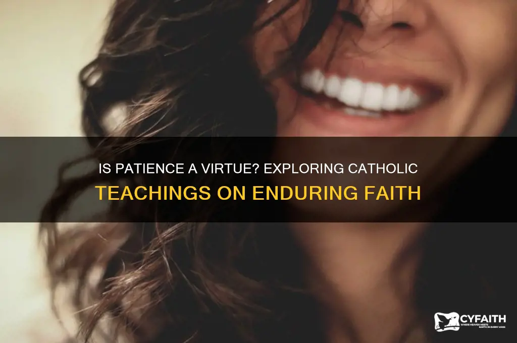 is patience a virtue catholic