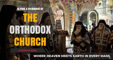Is Paul a Patriarch? Exploring Orthodox Church Leadership and Legacy