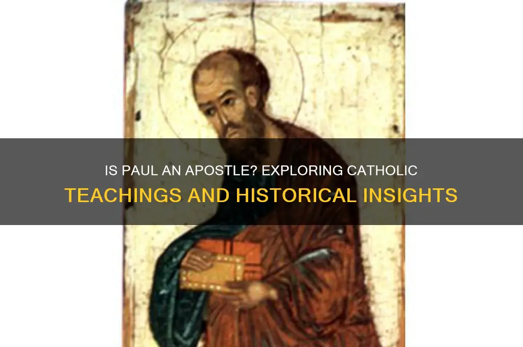 is paul an apostle catholic