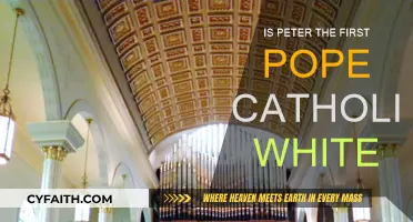 Who Was Peter? Exploring the First Pope's Identity
