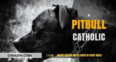 Is Pitbull Catholic? Exploring the Faith of the Music Icon