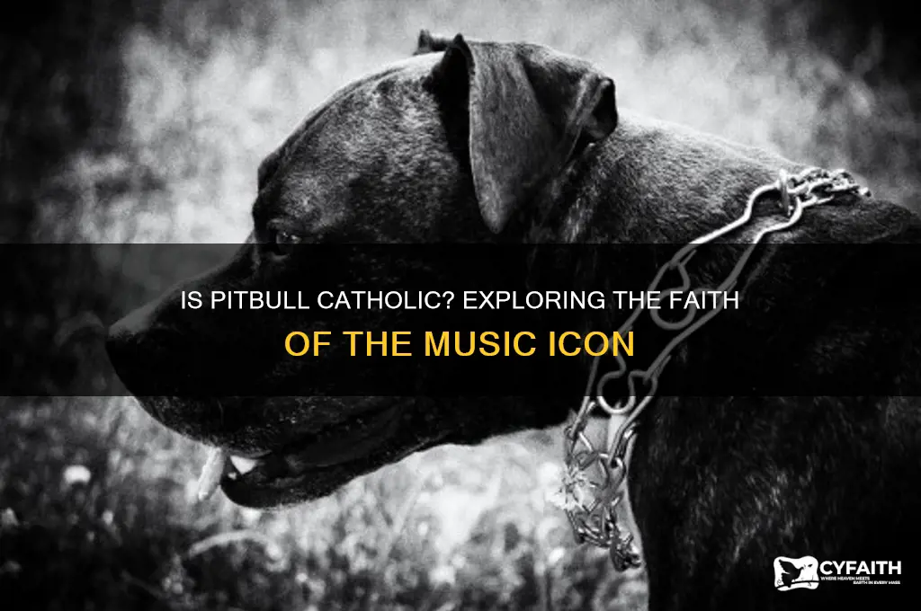 is pitbull catholic
