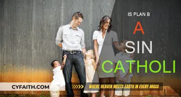 The Catholic Church's Stance on Plan B