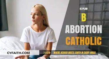 Is Plan B Abortion? Catholic Perspectives on Emergency Contraception