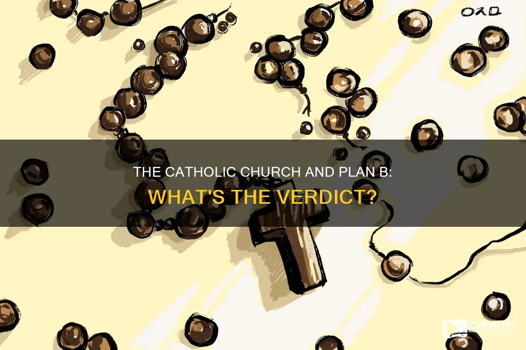 is plan b against catholic religion