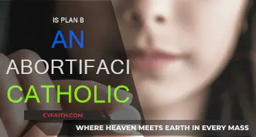 The Catholic Church's Stance on Plan B