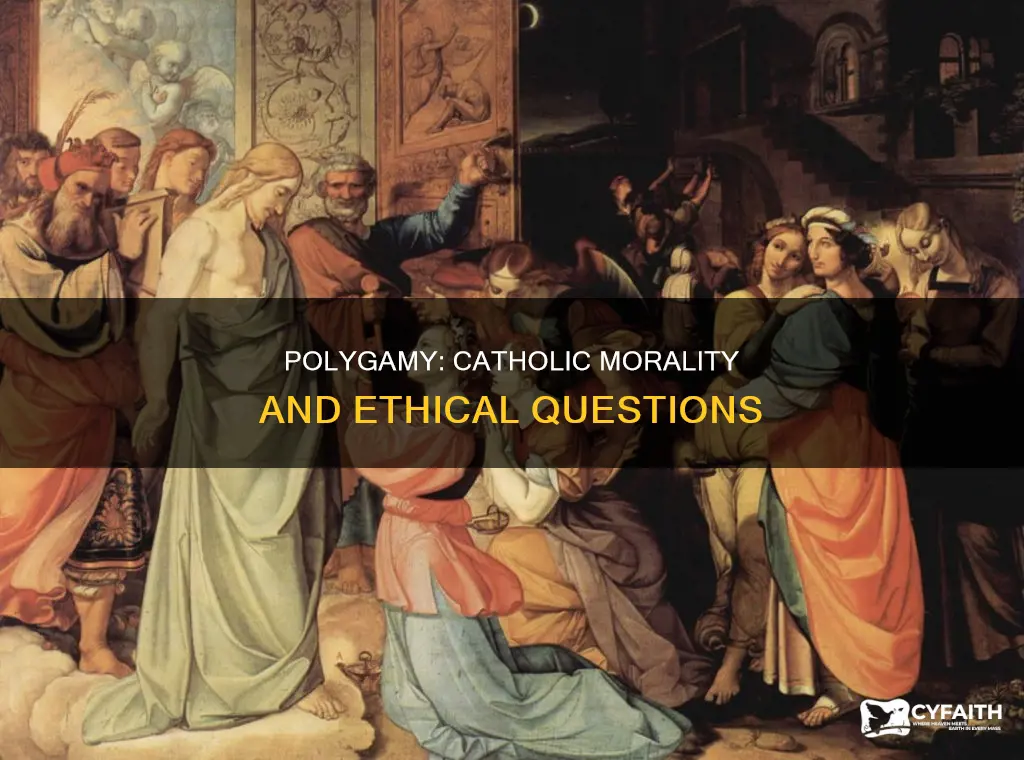 is polygamy morally wrong catholic opinion