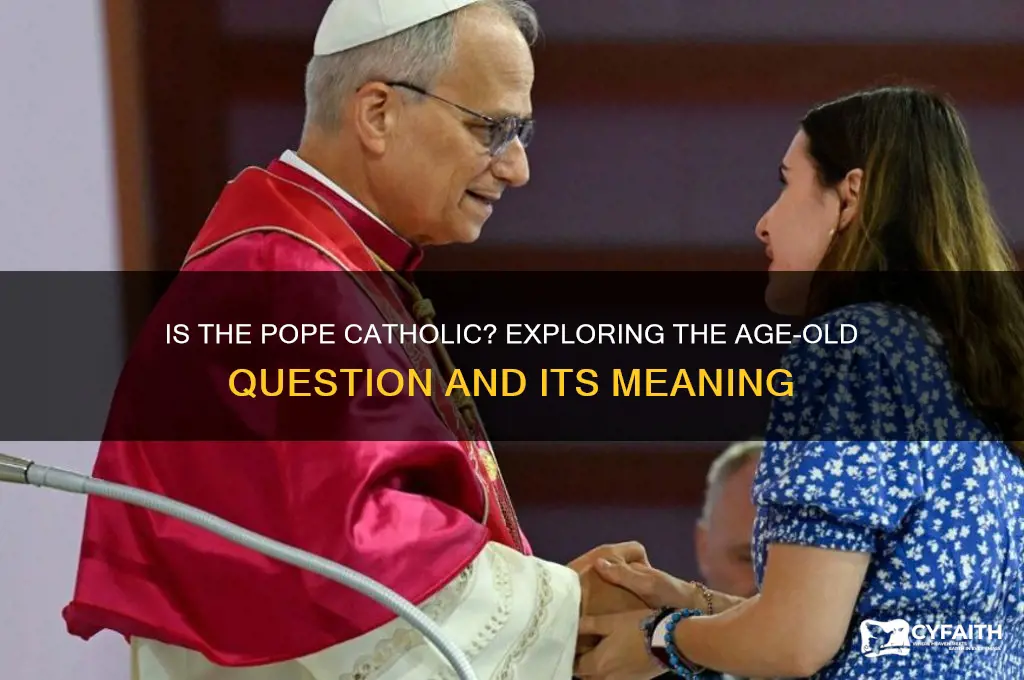 is pope a catholic
