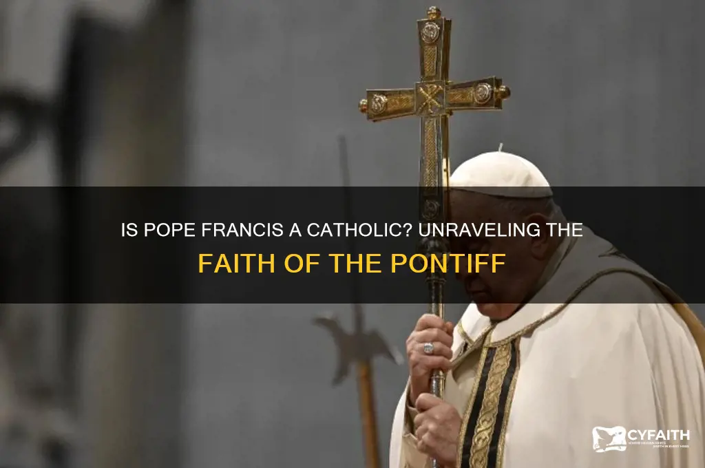 is pope francis a catholic