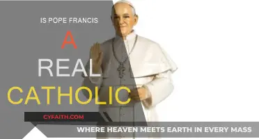 Is Pope Francis a True Catholic?