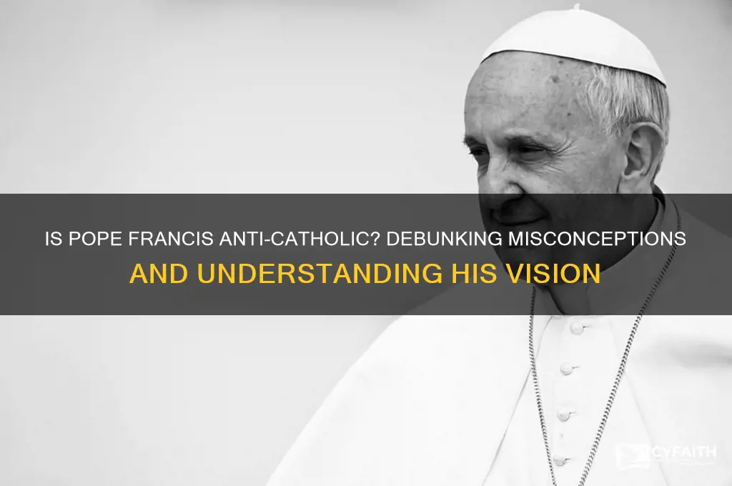 is pope francis anti catholic