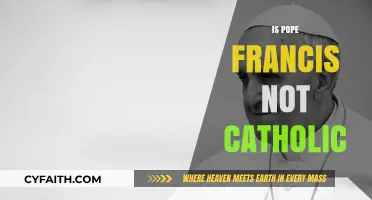 Is Pope Francis Truly Catholic? Debunking Misconceptions and Controversies