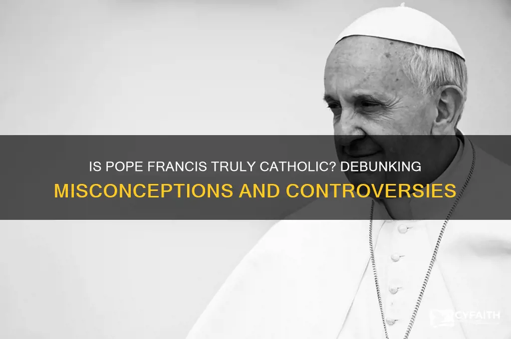 is pope francis not catholic