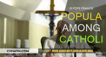 Pope Francis: Catholics' Favorite or Foe?