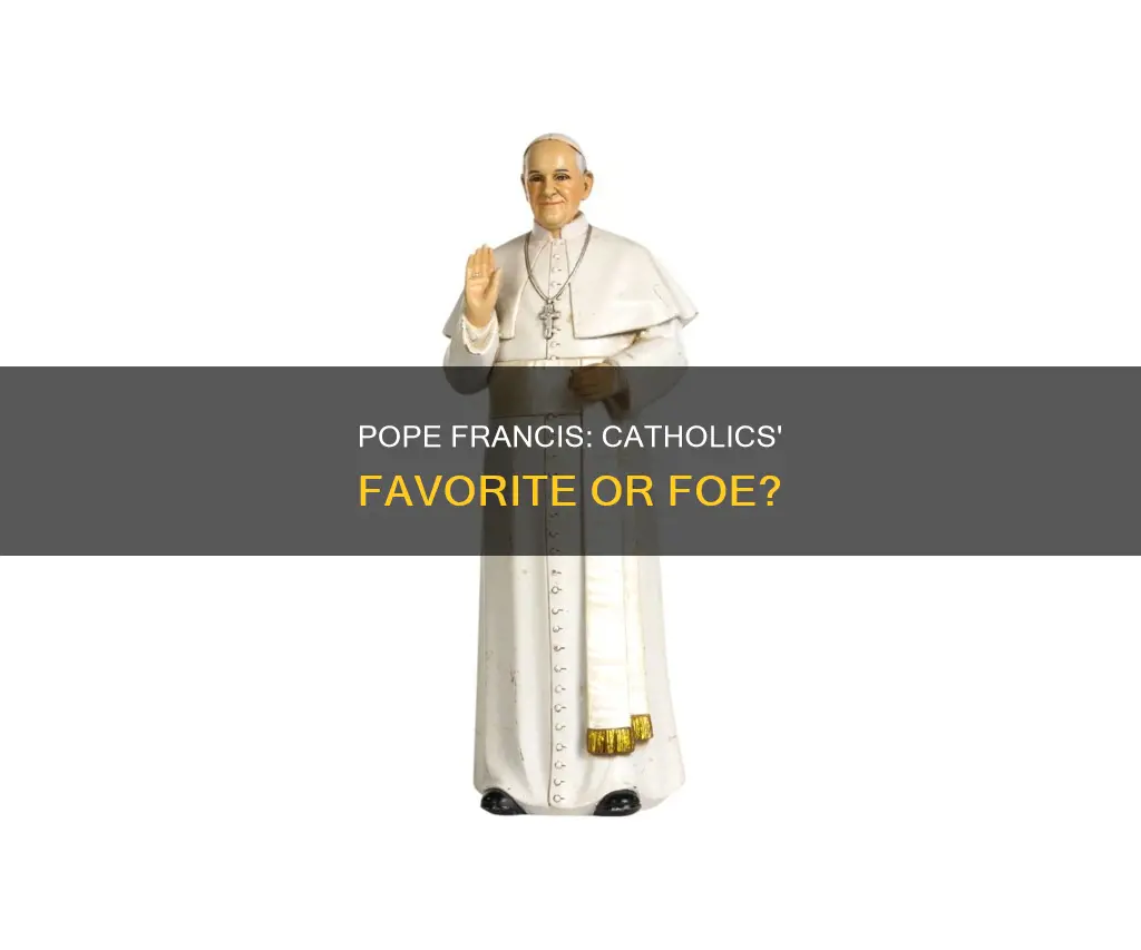 is pope francis popular among catholics