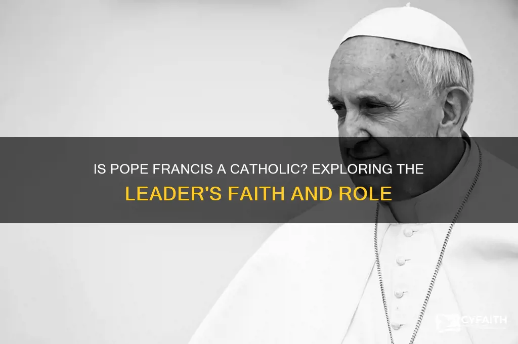 is pope trancis a catholic