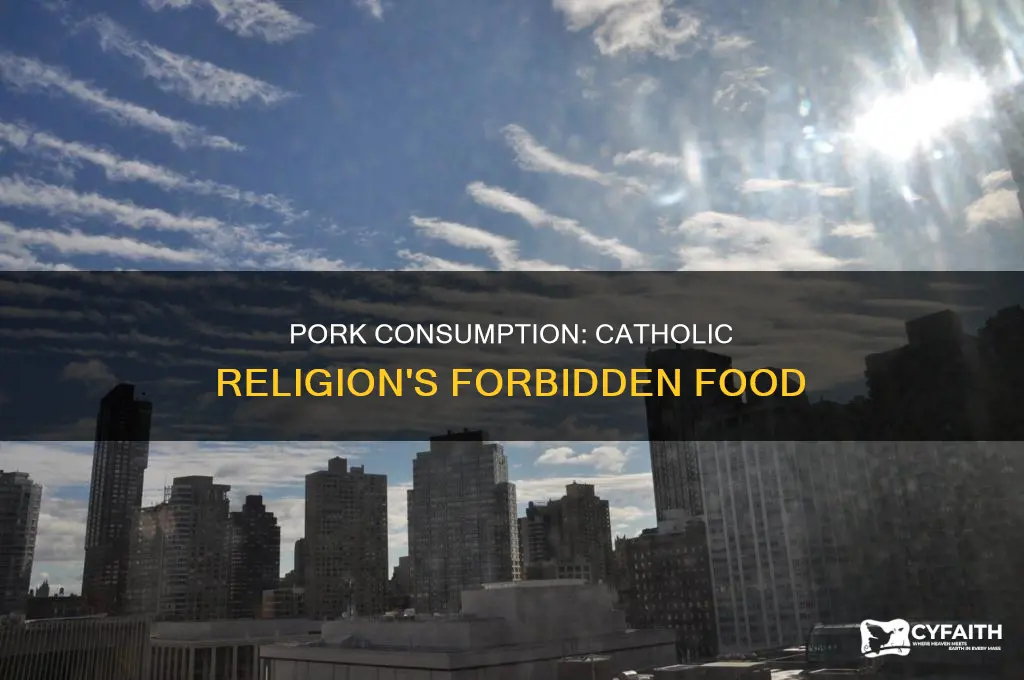 is pork forbidden in catholic religion