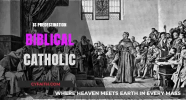 Predestination in Catholic Theology: Exploring Biblical Foundations and Doctrine