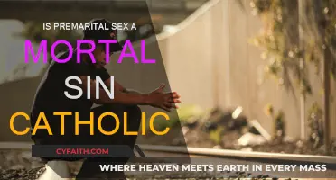 The Catholic Church's Stance on Premarital Sex