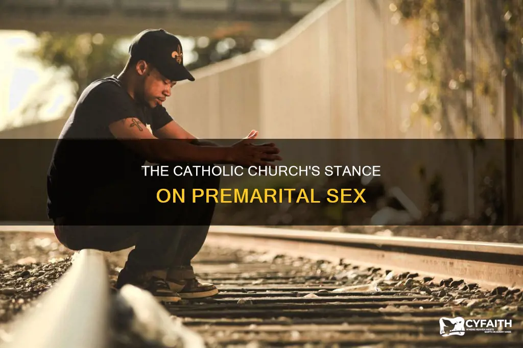 is premarital sex a mortal sin catholic