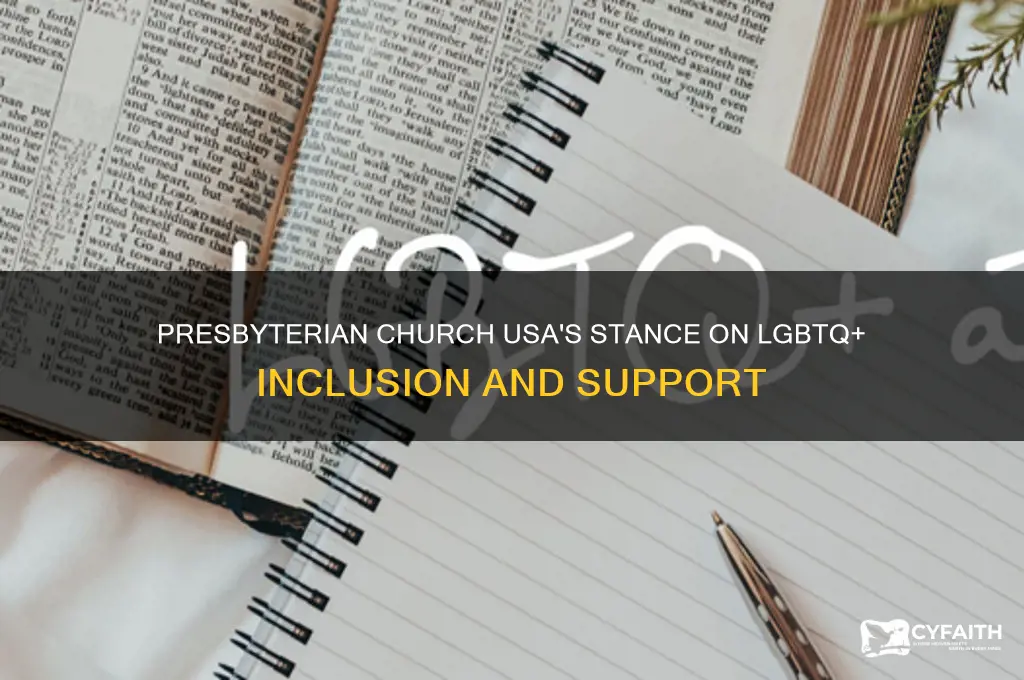 is presbyterian church usa supportive of lgbt
