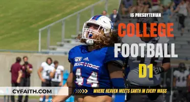 Is Presbyterian College Football Division 1? Exploring the Blue Hose's NCAA Status