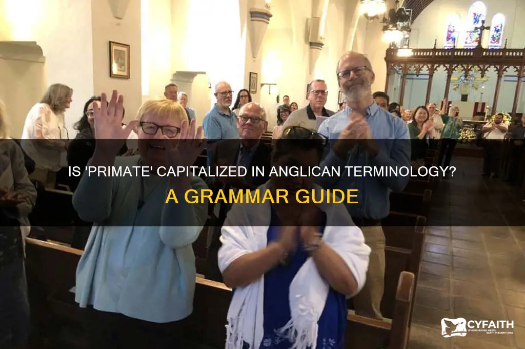 is primate capitalized anglican