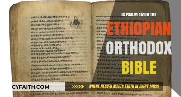 Psalm 151's Unique Presence in the Ethiopian Orthodox Bible