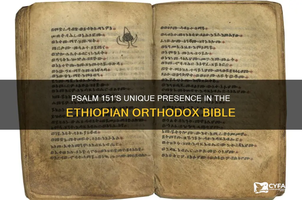 is psalm 151 in the ethiopian orthodox bible