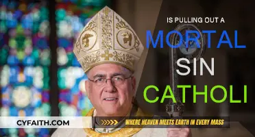 Withdrawal and Sin: Catholic Conundrum