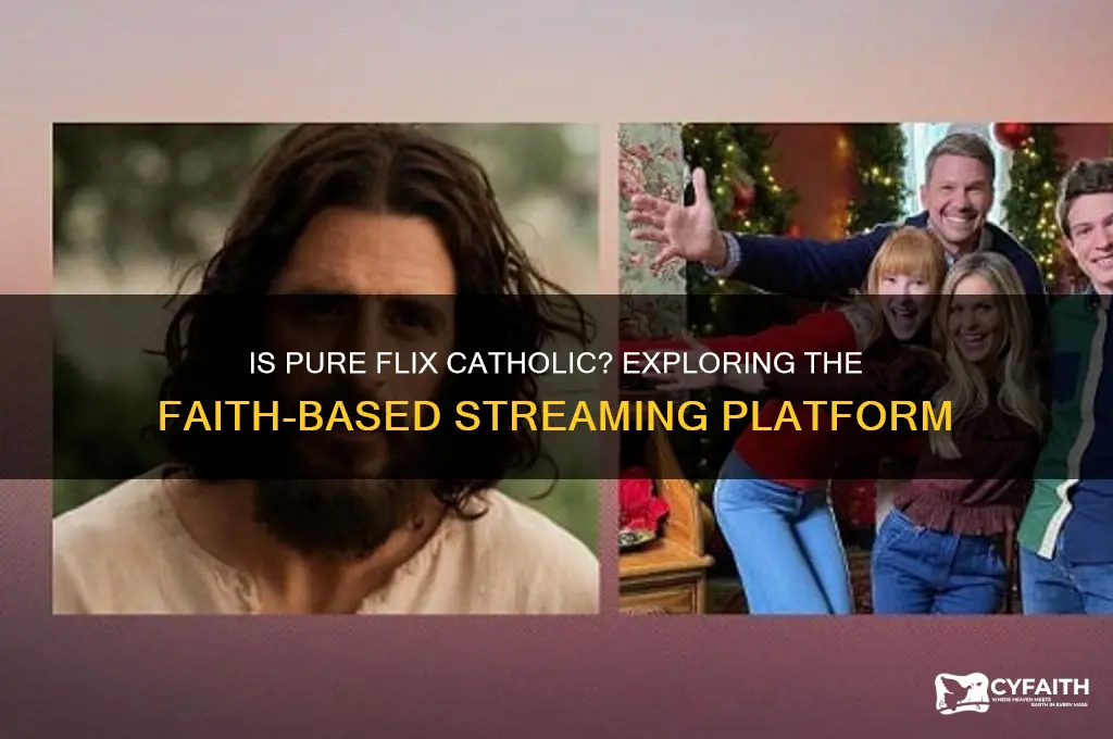 is pure flix catholic