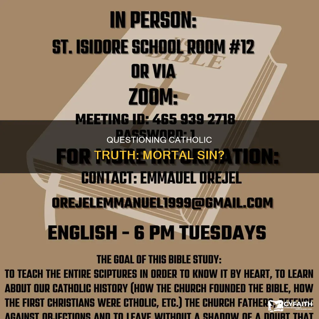 is questioning catholic truth a mortal sin