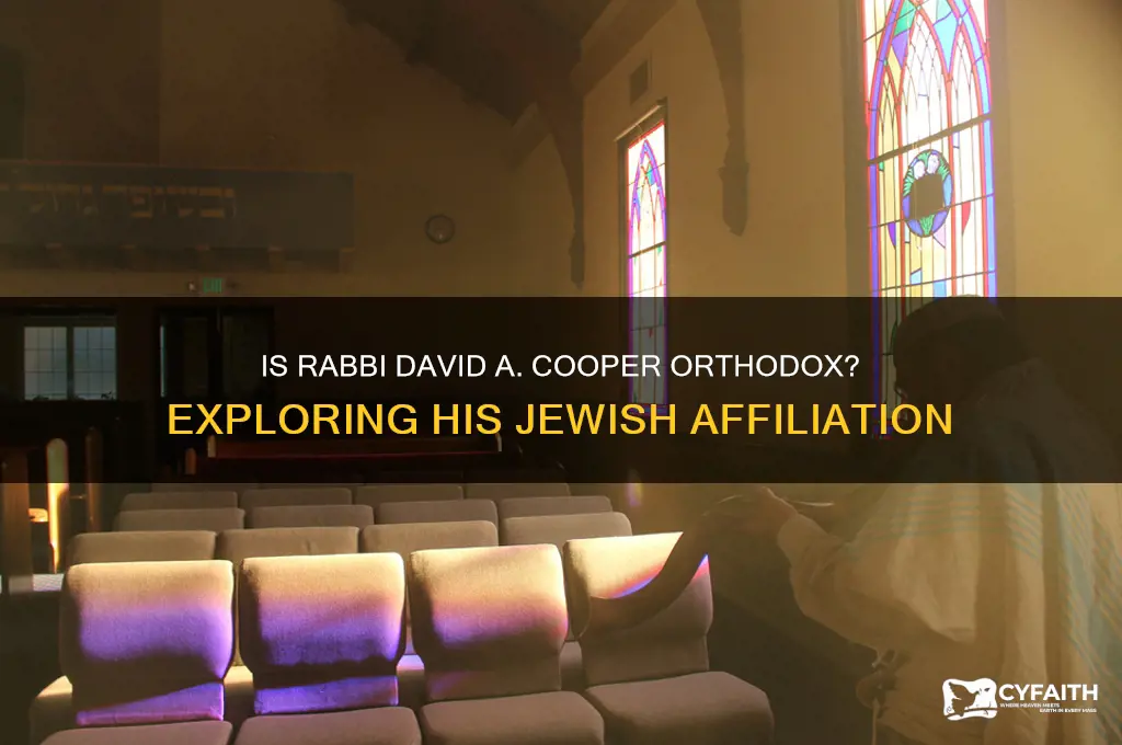 is rabbi david a cooper orthodox