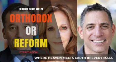 Rabbi David Wolpe: Orthodox or Reform? Exploring His Jewish Affiliation