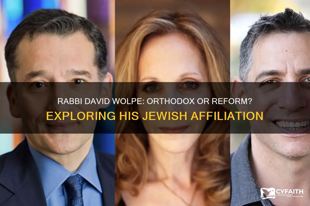 is rabbi david wolpe orthodox or reform