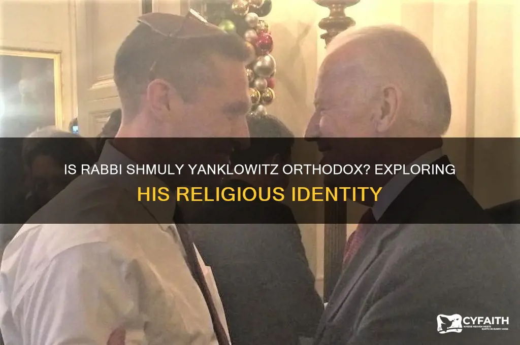 is rabbi shmuly yanklowitz orthodox
