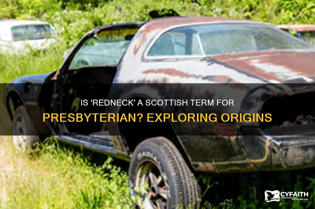is redneck a scottish term for presbyterian