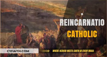 Is Reincarnation Compatible with Catholic Doctrine? Exploring Beliefs and Teachings
