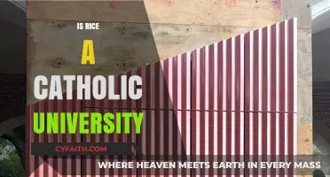 Is Rice University Affiliated with Catholicism? Exploring Its Religious Ties