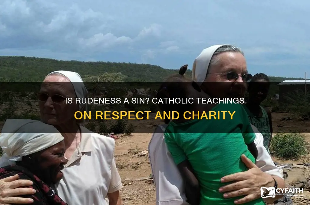 is rudeness a fault catholic