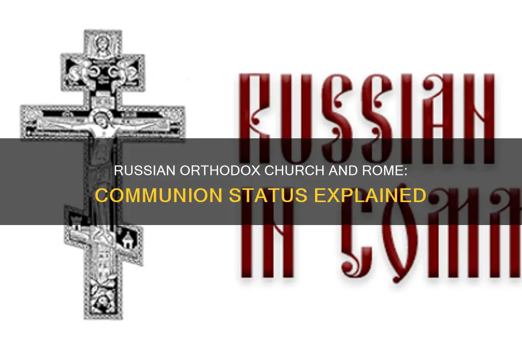 is russian orthodox church in communion with rome